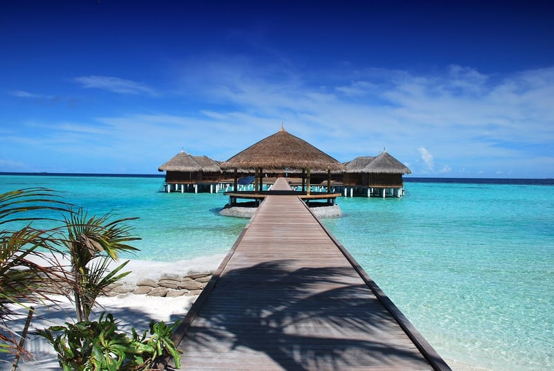 Luxury Resort